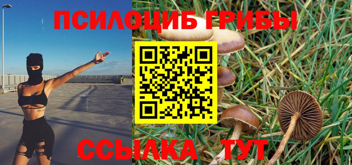 Псилоцибиновые грибы GOLDEN TEACHER  Вход с VPN  Чебоксары 