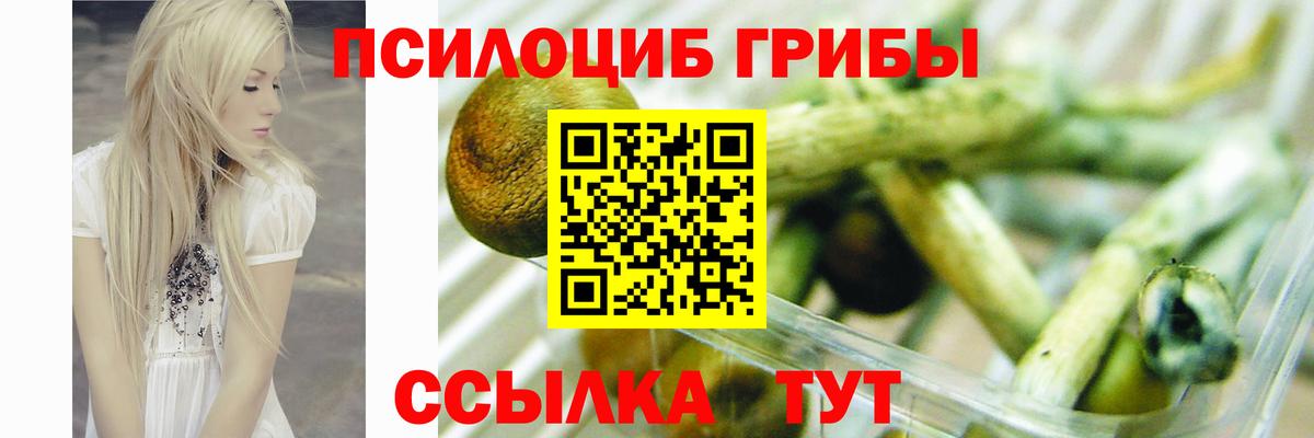 Псилоцибиновые грибы мицелий Чебоксары